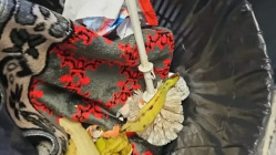 Un tapis de prière jeté à la poubelle : la CGT M'Tag dénonce une "atteinte à la dignité des agents"