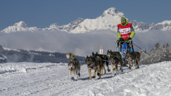 Grande Odyssée 2026 : tout savoir sur l’aventure nordique et canine au cœur des Alpes Grande Odyssée 2026 : tout savoir sur l’aventure nordique et canine au cœur des Alpes