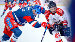 Les Brûleurs de Loups de Grenoble défieront les Ducs d’Angers en demi-finale Les Brûleurs de Loups de Grenoble défieront les Ducs d’Angers en demi-finale