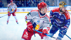 Playoffs : Angers égalise, les Brûleurs de Loups doivent tout recommencer (3-2) Playoffs : Angers égalise, les Brûleurs de Loups doivent tout recommencer (3-2)