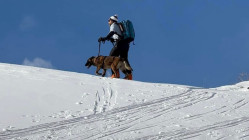 Arr&ecirc;t cardiaque en pleine descente : un skieur sauv&eacute; in extremis aux 7 Laux gr&acirc;ce &agrave; l&rsquo;intervention des pisteurs