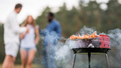 Fin des barbecues dans un parc près de Grenoble après des actes d’incivilité Fin des barbecues dans un parc près de Grenoble après des actes d’incivilité