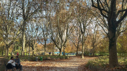 Grenoble : un homme retrouv&eacute; mort au parc Paul-Mistral, la police cherche &agrave; l&rsquo;identifier