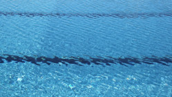 Piscine Jean Bron : la mairie de Grenoble évoque une "saison exceptionnelle"