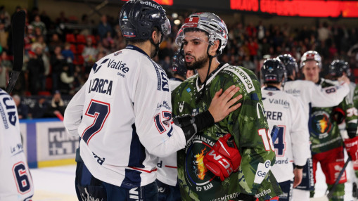 Bagarre et violences lors de Grenoble-Angers : deux Brûleurs de Loups lourdement sanctionnés