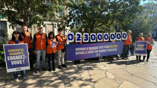 Grenoble : une action de L214 pour forcer les candidats &agrave; se positionner sur l&rsquo;alimentation