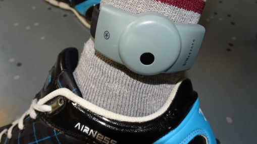 Grenoble : il coupe son bracelet &eacute;lectronique avant la fin de sa peine et termine en prison