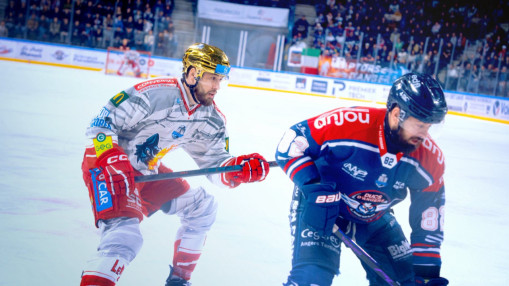 Playoffs : Angers arrache une finale avant l'heure face à Grenoble (7-4) Playoffs : Angers arrache une finale avant l'heure face à Grenoble (7-4)