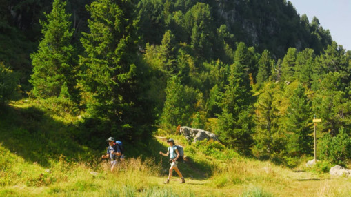 Grenoble : bus, covoiturage et v&eacute;lo, le SMMAG relance ses Destinations Nature pour l&rsquo;&eacute;t&eacute;
