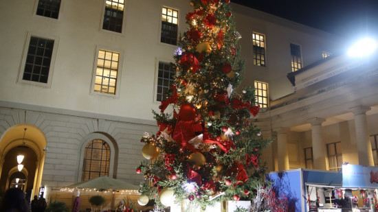 Grenoble : il tente d'incendier le sapin de Noël puis blesse 4 policiers Grenoble : il tente d'incendier le sapin de Noël puis blesse 4 policiers