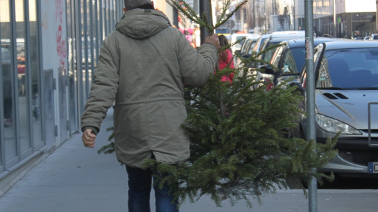 Après les fêtes, 57 points de collecte pour recycler les sapins dans la métropole grenobloise Après les fêtes, 57 points de collecte pour recycler les sapins dans la métropole grenobloise