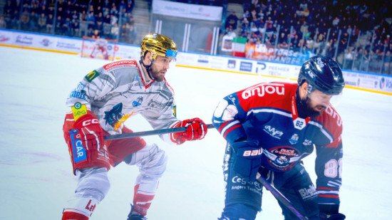 Playoffs : Angers arrache une finale avant l'heure face &agrave; Grenoble (7-4)