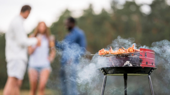 Fin des barbecues dans un parc pr&egrave;s de Grenoble apr&egrave;s des actes d&rsquo;incivilit&eacute;