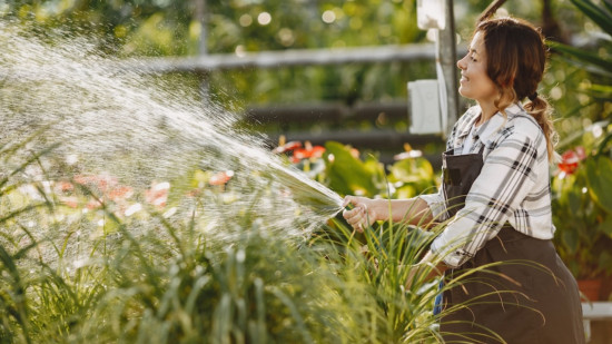 Canicule : une panne prive Laffrey de sa pleine capacit&eacute; d&rsquo;alimentation en eau