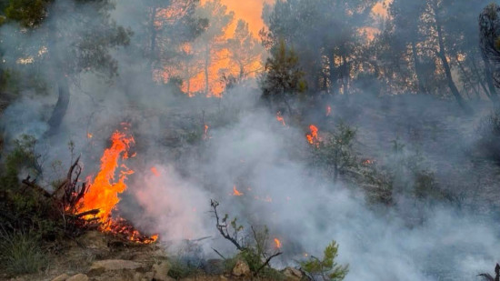 Is&egrave;re : risque de feux de for&ecirc;t tr&egrave;s &eacute;lev&eacute;, de fortes restrictions mises en place