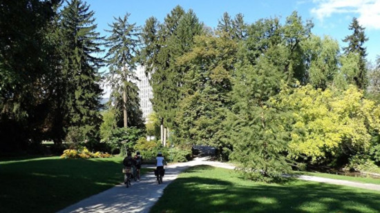 L'&Eacute;t&eacute; Oh ! Parcs : l&rsquo;&eacute;v&eacute;nement marque la fin de son &eacute;dition 2026
