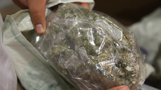 Plus de 150 kilos de cannabis saisis &agrave; Grenoble, onze interpellations dans le r&eacute;seau &ldquo;Mistral 38&rdquo;