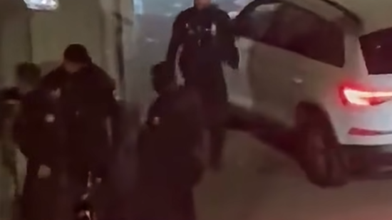 Grenoble : un policier film&eacute; en train de frapper une femme au visage, Allan Brunon (LFI) saisit la justice