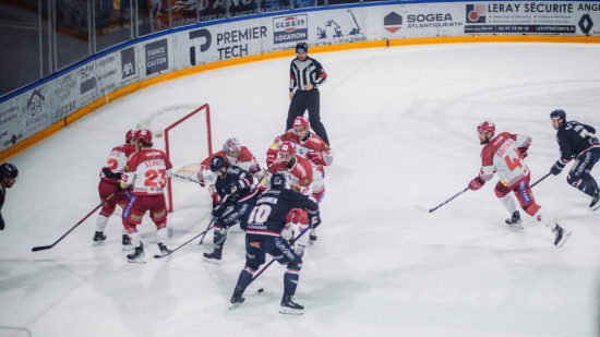Coupe de France : les Brûleurs de Loups s'inclinent en finale