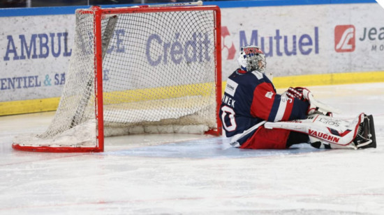 Grenoble : les Brûleurs de Loups perdent contre les Dragons de Rouen Grenoble : les Brûleurs de Loups perdent contre les Dragons de Rouen