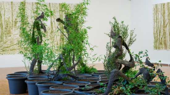 Grenoble : les musées seront bientôt gratuits