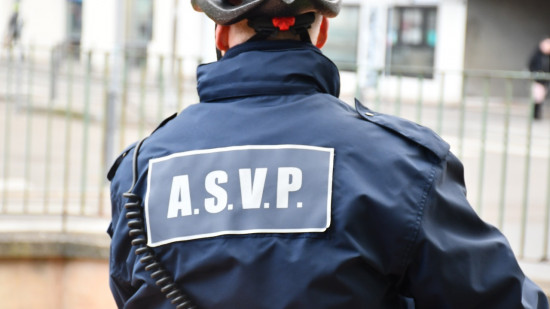 Grenoble : on connaît la date du passage au stationnement payant dans l'Ile Verte Grenoble : on connaît la date du passage au stationnement payant dans l'Ile Verte