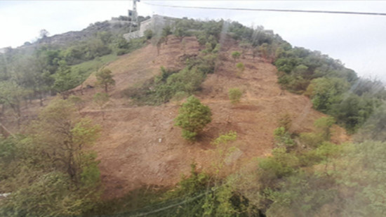 Grenoble : près de deux hectares débroussaillés trop massivement à la Bastille ? Grenoble : près de deux hectares débroussaillés trop massivement à la Bastille ?