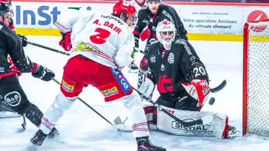 Playoffs : les Brûleurs de Loups se hissent en demi-finale Playoffs : les Brûleurs de Loups se hissent en demi-finale