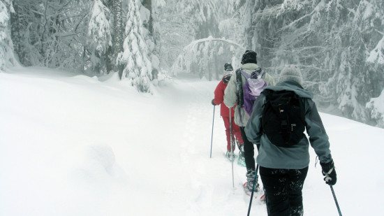 Près de Grenoble : un randonneur épuisé secouru dans le Vercors après plusieurs malaises Près de Grenoble : un randonneur épuisé secouru dans le Vercors après plusieurs malaises