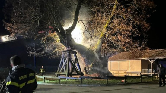 Près de Grenoble : un tilleul de 600 ans incendié, le maire porte plainte Près de Grenoble : un tilleul de 600 ans incendié, le maire porte plainte