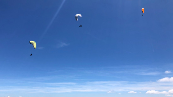 Vercors : plainte de la LPO contre les parapentistes qui dérangent les aigles royaux Vercors : plainte de la LPO contre les parapentistes qui dérangent les aigles royaux