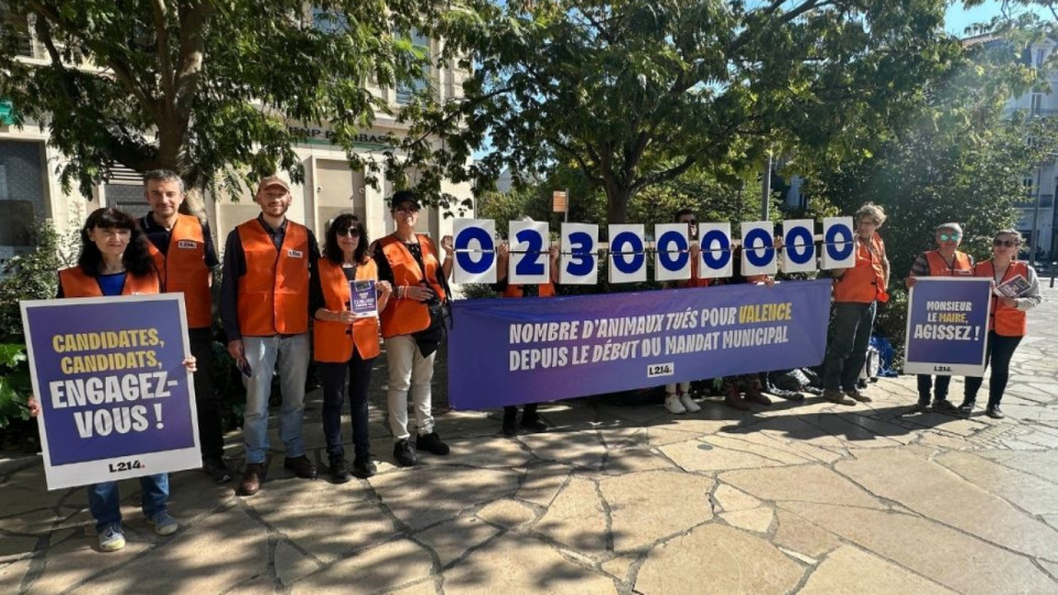 Grenoble : une action de L214 pour forcer les candidats &agrave; se positionner sur l&rsquo;alimentation