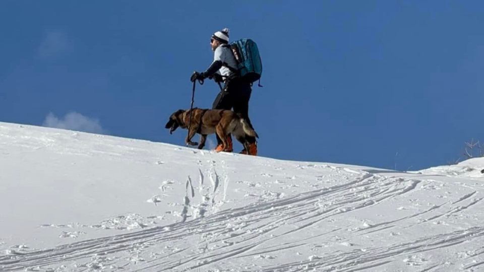 Arr&ecirc;t cardiaque en pleine descente : un skieur sauv&eacute; in extremis aux 7 Laux gr&acirc;ce &agrave; l&rsquo;intervention des pisteurs