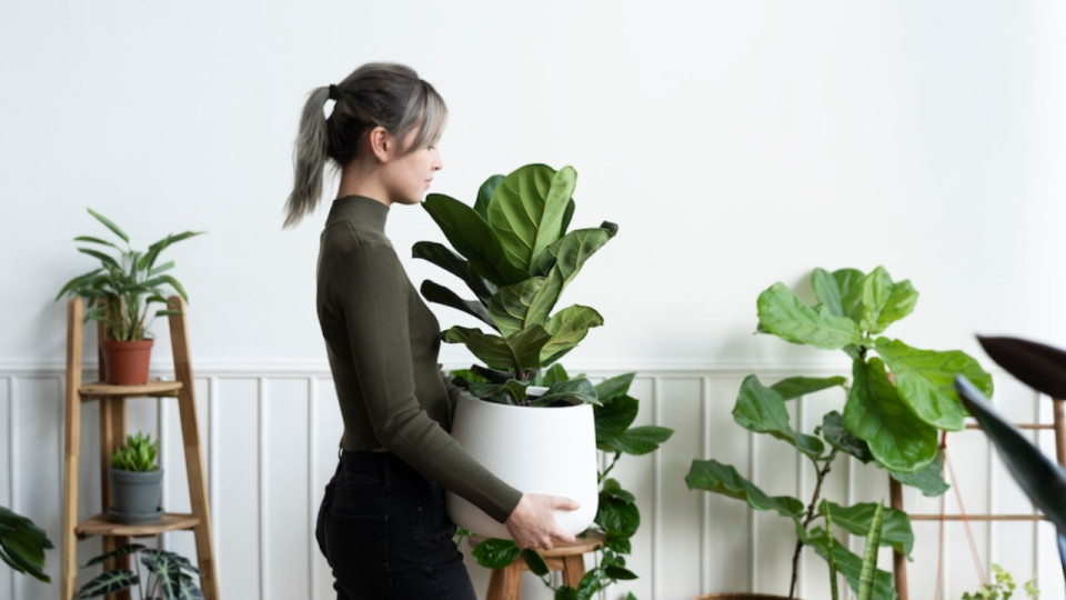 Grenoble : une formation pour aider les habitants &agrave; rafra&icirc;chir leur copropri&eacute;t&eacute;