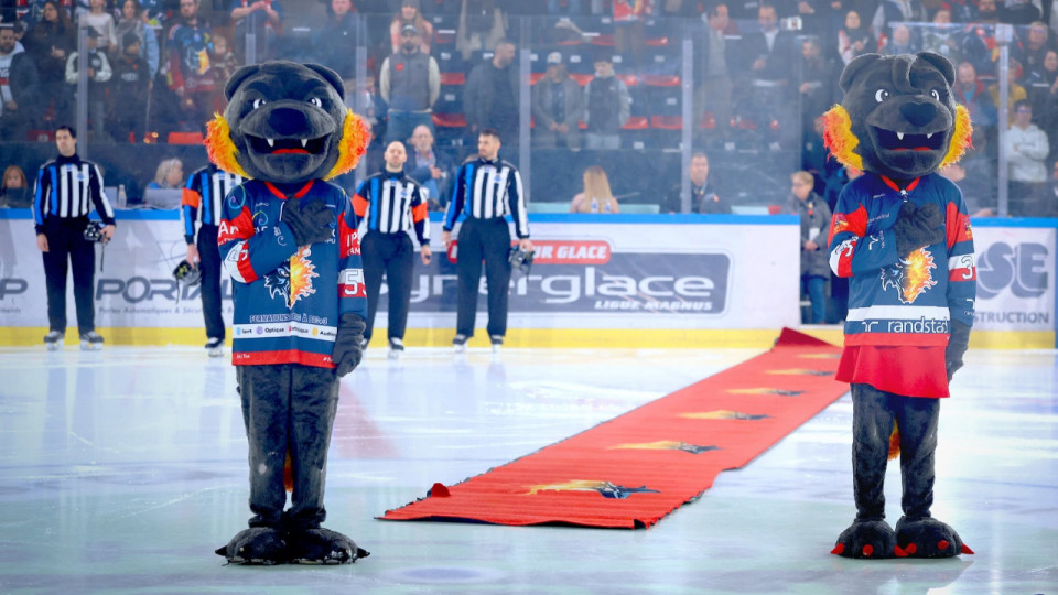 Devenez Jeff le loup, la mascotte des Br&ucirc;leurs de Loups &agrave; Grenoble