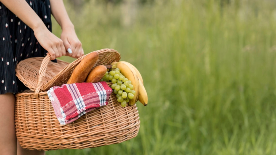 Grenoble : un grand pique-nique 100 % vegan organis&eacute; au parc Paul-Mistral ce dimanche