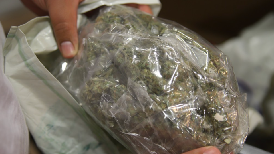 Plus de 150 kilos de cannabis saisis &agrave; Grenoble, onze interpellations dans le r&eacute;seau &ldquo;Mistral 38&rdquo;