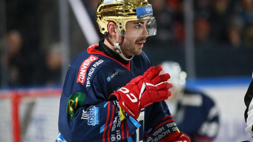 Face à Amiens, les Brûleurs de Loups lancent les playoffs Face à Amiens, les Brûleurs de Loups lancent les playoffs