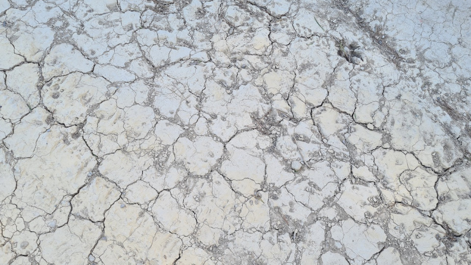 Grenoble : la préfecture place plusieurs secteurs en alerte sécheresse