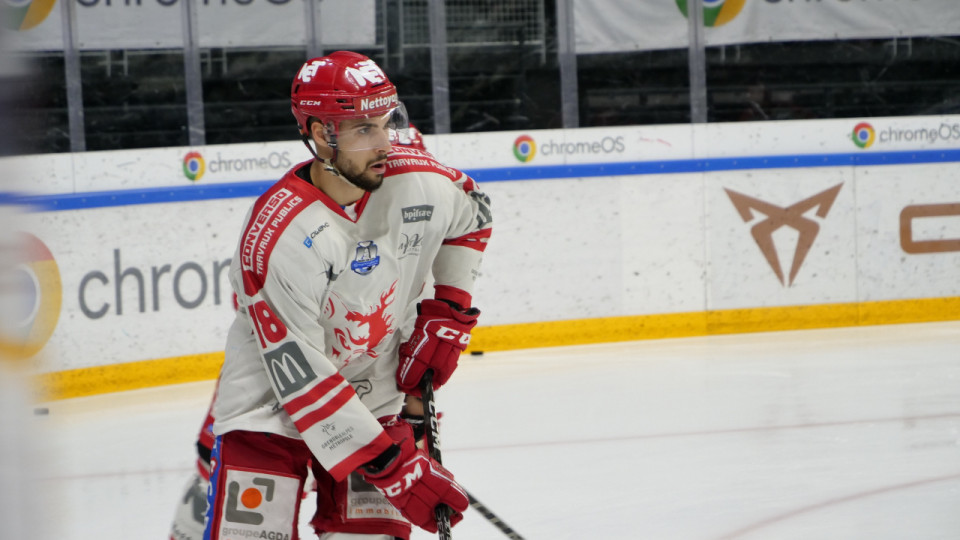 Play-offs : les Br&ucirc;leurs de Loups affronteront Rouen en finale !