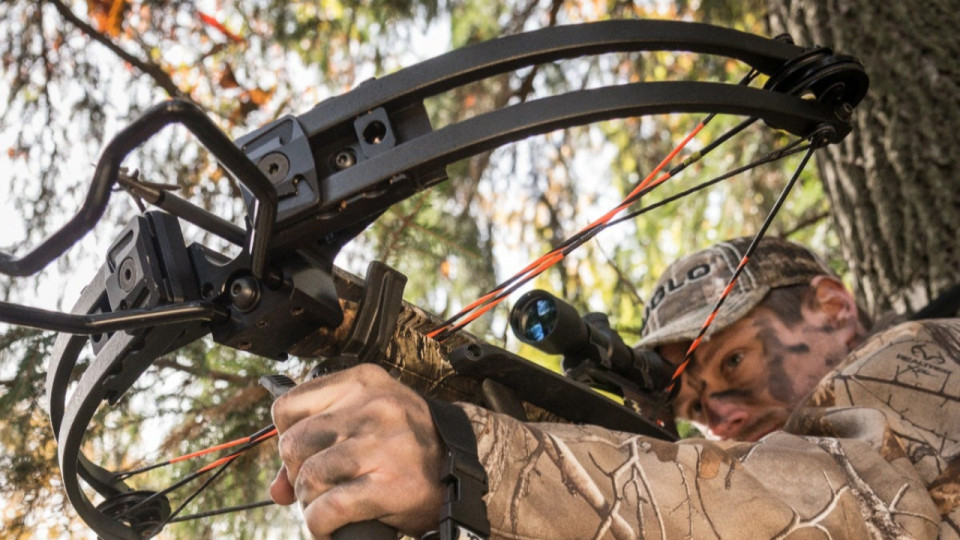 Près de Grenoble : les deux voisins se détestent, des tirs d'arbalète font un blessé Près de Grenoble : les deux voisins se détestent, des tirs d'arbalète font un blessé